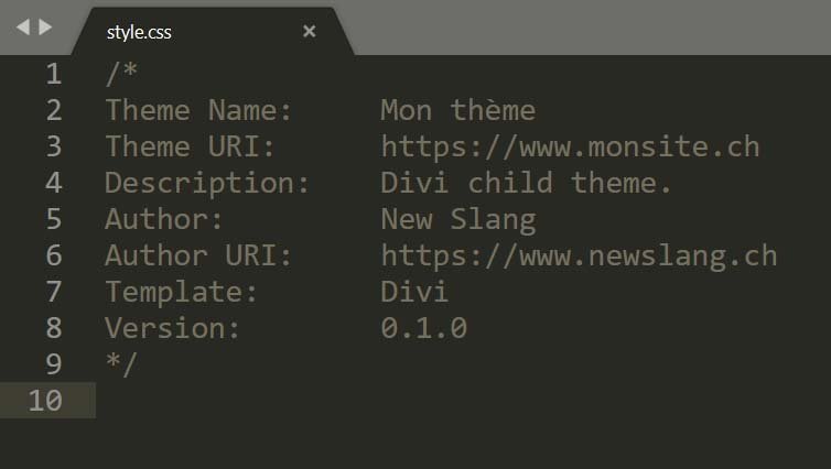 Les détails du thème sont automatiquement remplis dans le CSS grâce à WP-CLI