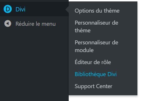 Enregistrer une section dans Divi