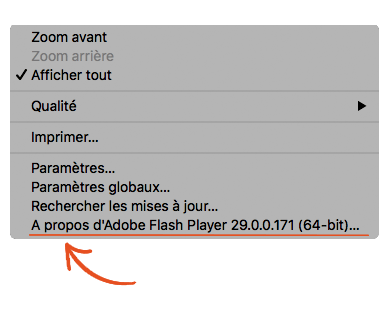 Comment savoir si votre site utilise Flash ?