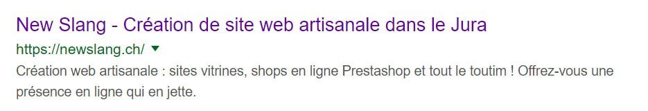 Aperçu d'un résultat de recherche sur Google