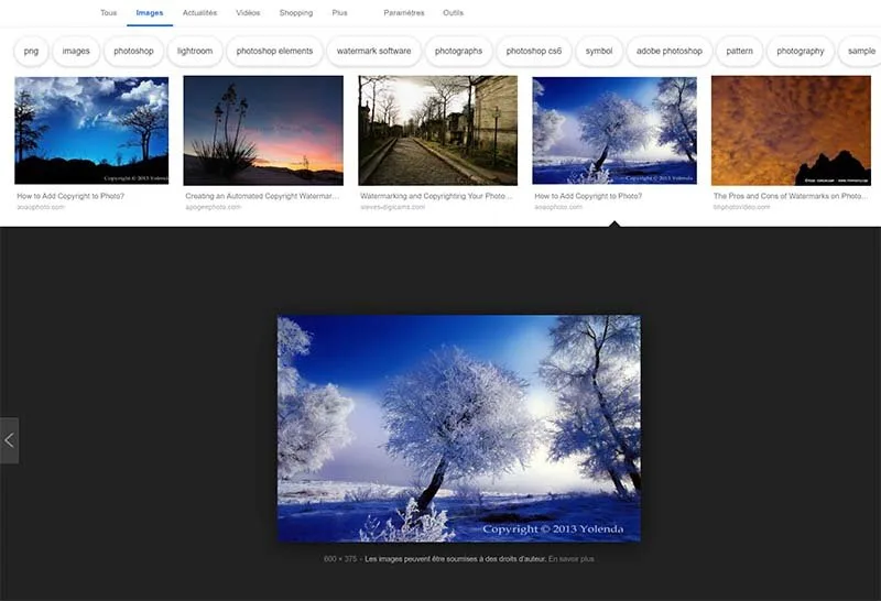 Images avec copyright sur Google Images