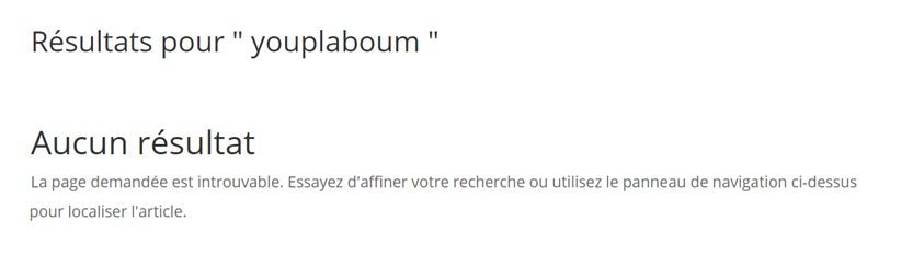 Résultats de la recherche affichant uniquement les résultats de la requête