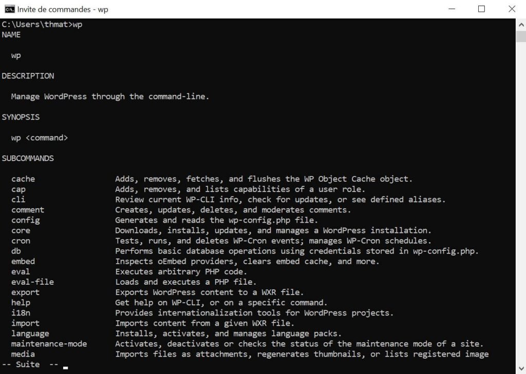 Résultat affiché à l'utilisation de la commande wp-cli